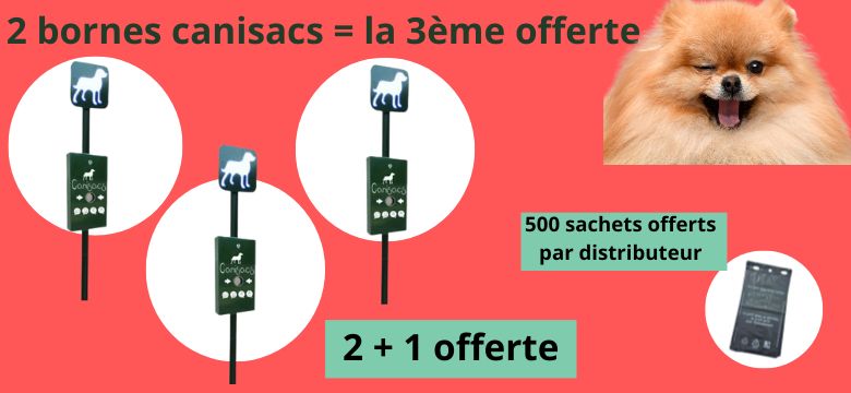 Offre sur l'hygiène canine